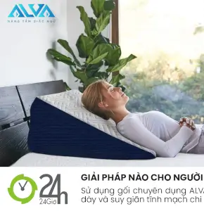 Gối chống Giãn Tĩnh Mạch và trào ngược Dạ Dày ALVA