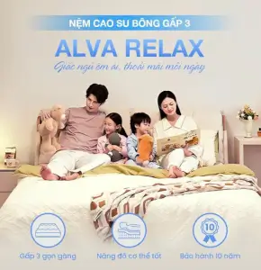 NỆM CAO SU BÔNG GẤP 3 ALVA RELAX
