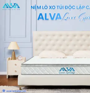 NỆM LÒ XO TÚI ĐỘC LẬP ALVA LUXE SPRING