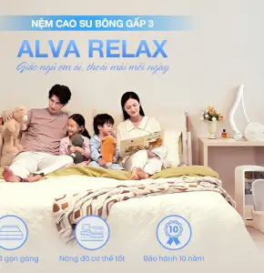 NỆM CAO SU BÔNG GẤP 3 ALVA RELAX