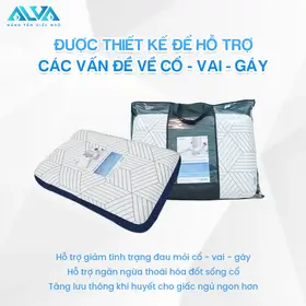 Gối Nằm Foam cao cấp Alva