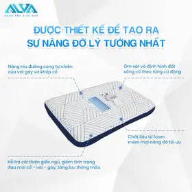 Gối Nằm Foam cao cấp Alva