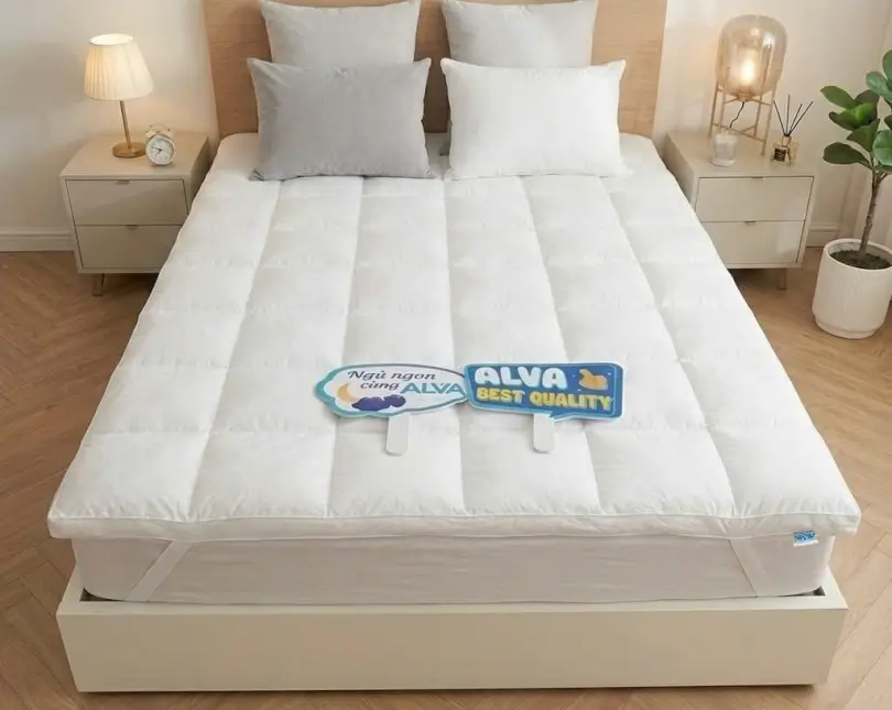 Vì sao nên sử dụng tấm topper trắng 5cm